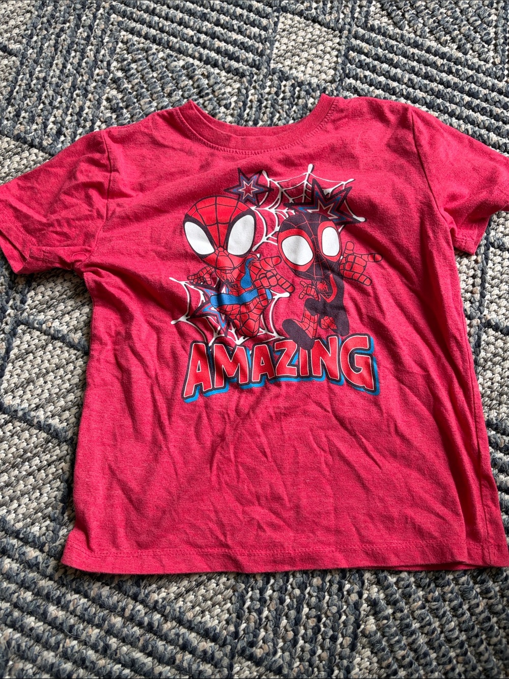 Spidey & His Amazing Friends Tee